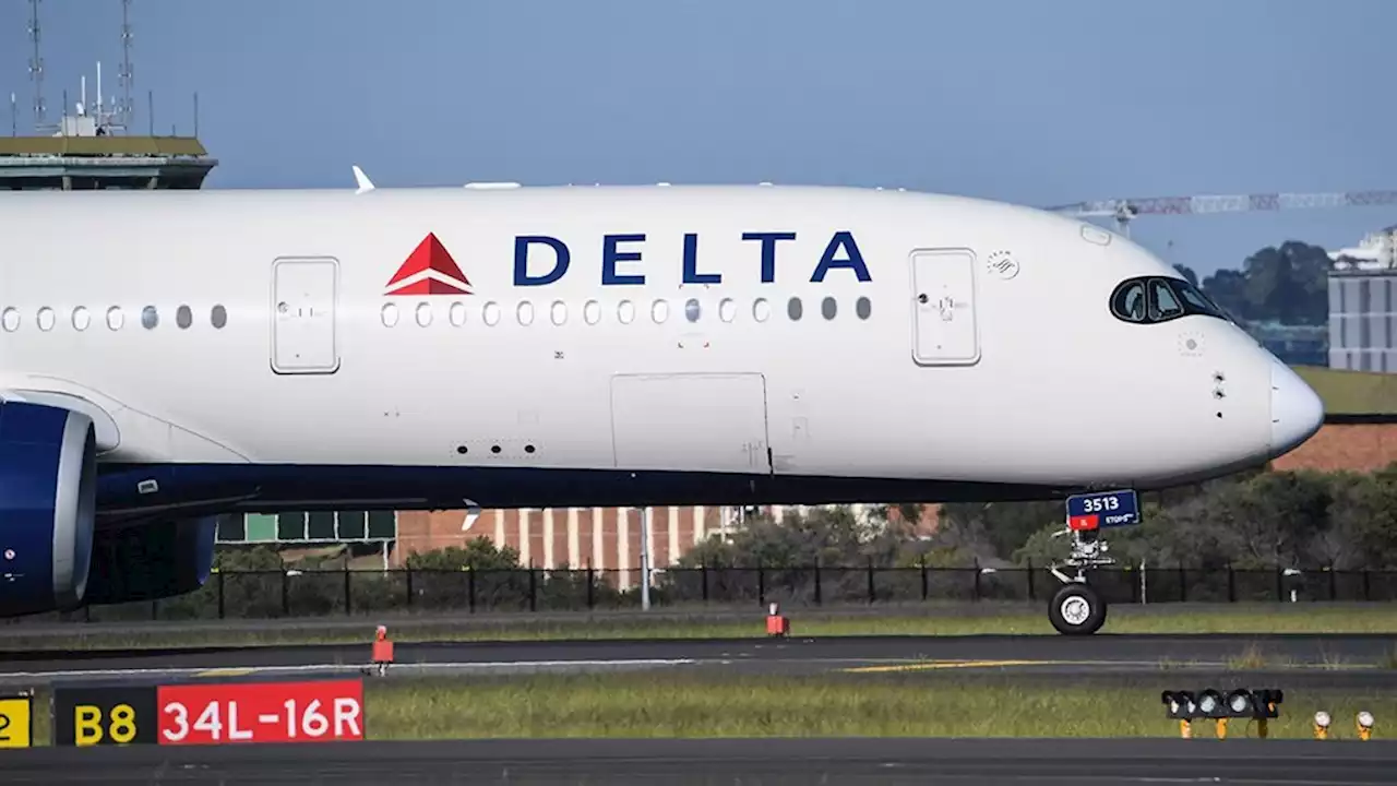 SA government finally allows Delta Air Lines to fly to Cape Town | Businessinsider