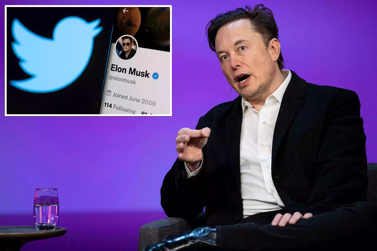 Elon Musk scrambling to find backers for Twitter takeover, sources say