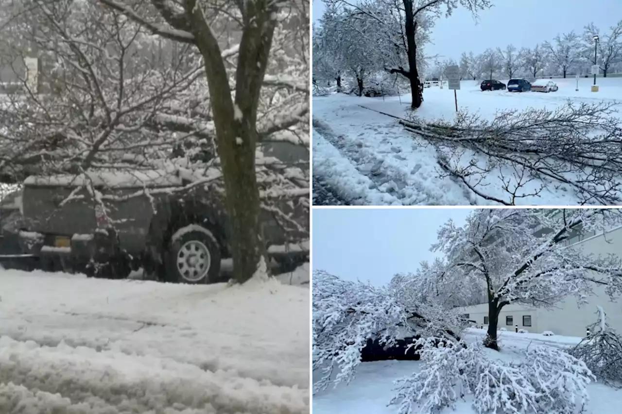 Nearly 200K New Yorkers without power after heavy snow from nor’easter