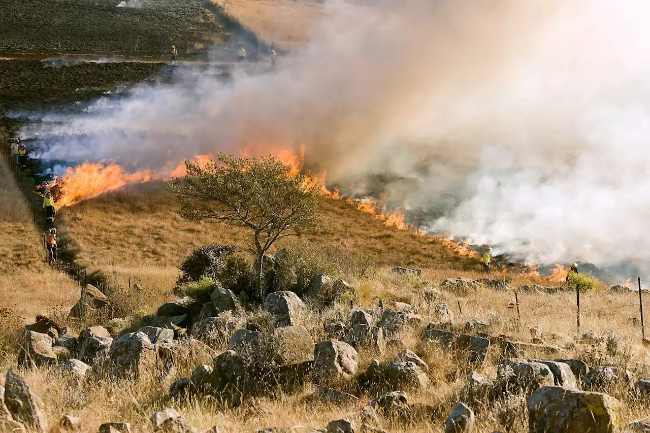 Pacific Northwest wildfires alter air pollution patterns across North America