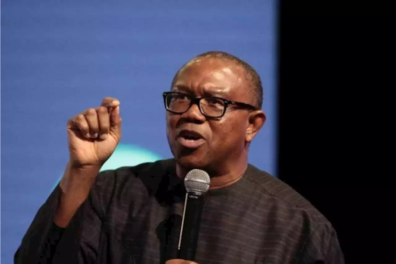 Nigeria needs “problem solver” as president, not consensus candidate – Peter Obi