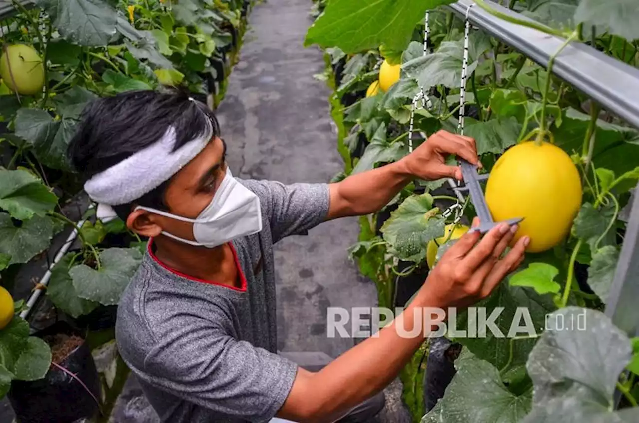 Bangka Barat Tingkatkan Keterampilan Para Petani Milenial |Republika Online