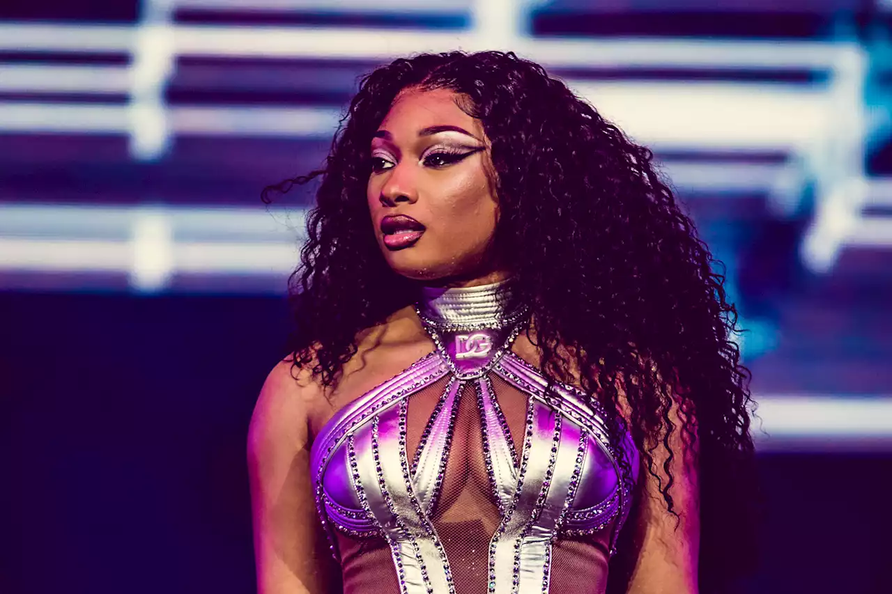 Not Even a Floating Black Box Could Stop Chinese Users From Watching Megan Thee Stallion Shake Ass