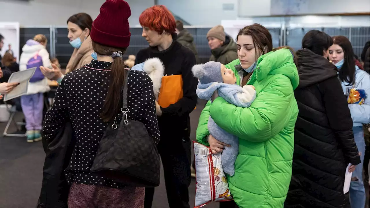 Personnes fuyant l’Ukraine : 500 personnes se présentent en moyenne chaque jour au centre d’enregistrement à Bruxelles