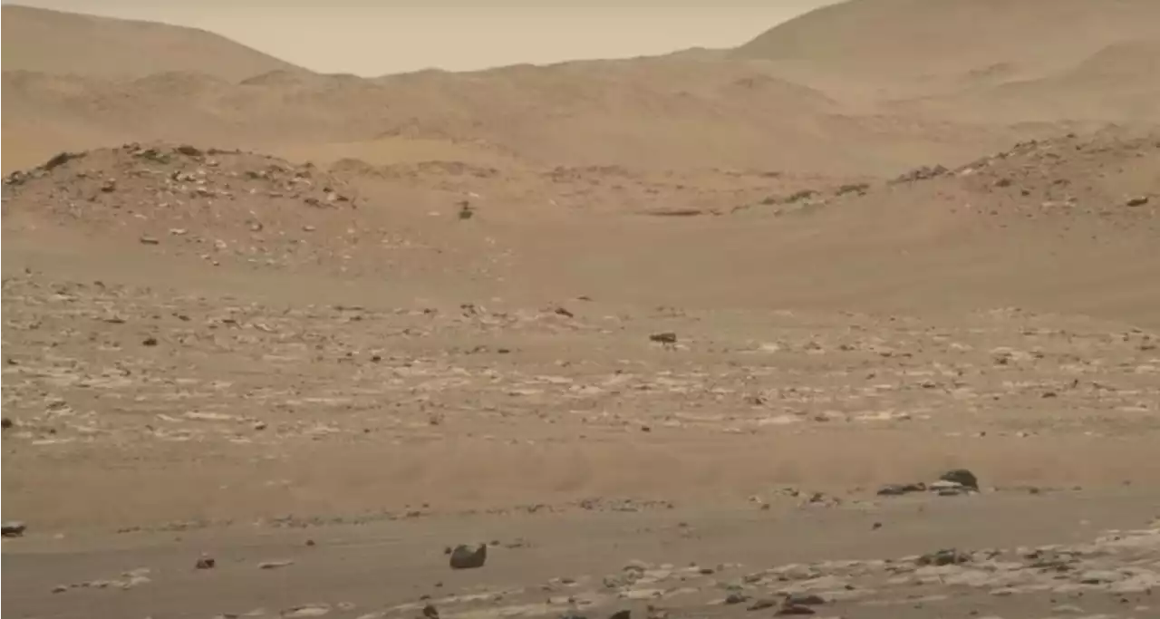 Happy anniversary, Ingenuity! Mars helicopter flew for the 1st time one year ago today