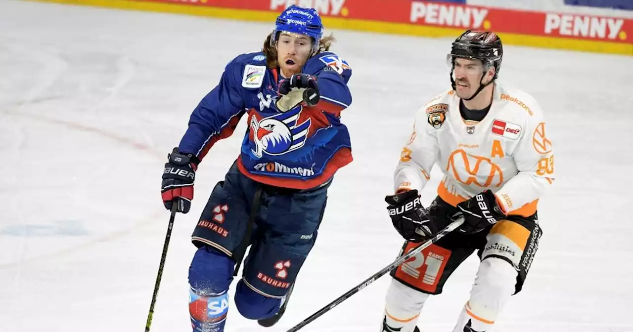 Machacek verlängert bei den Grizzlys Wolfsburg