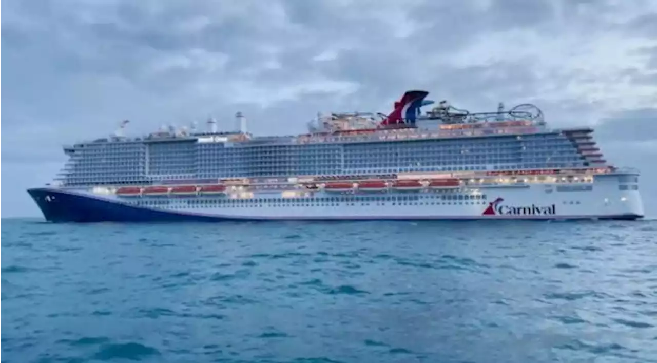 Coast Guard suspends search for man who went overboard from cruise ship