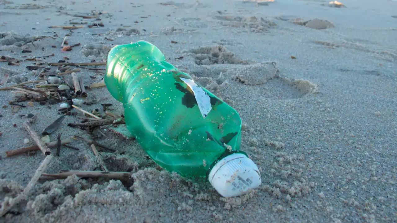 Braces, fake eyeball, half a bowling ball among bizarre Jersey Shore trash