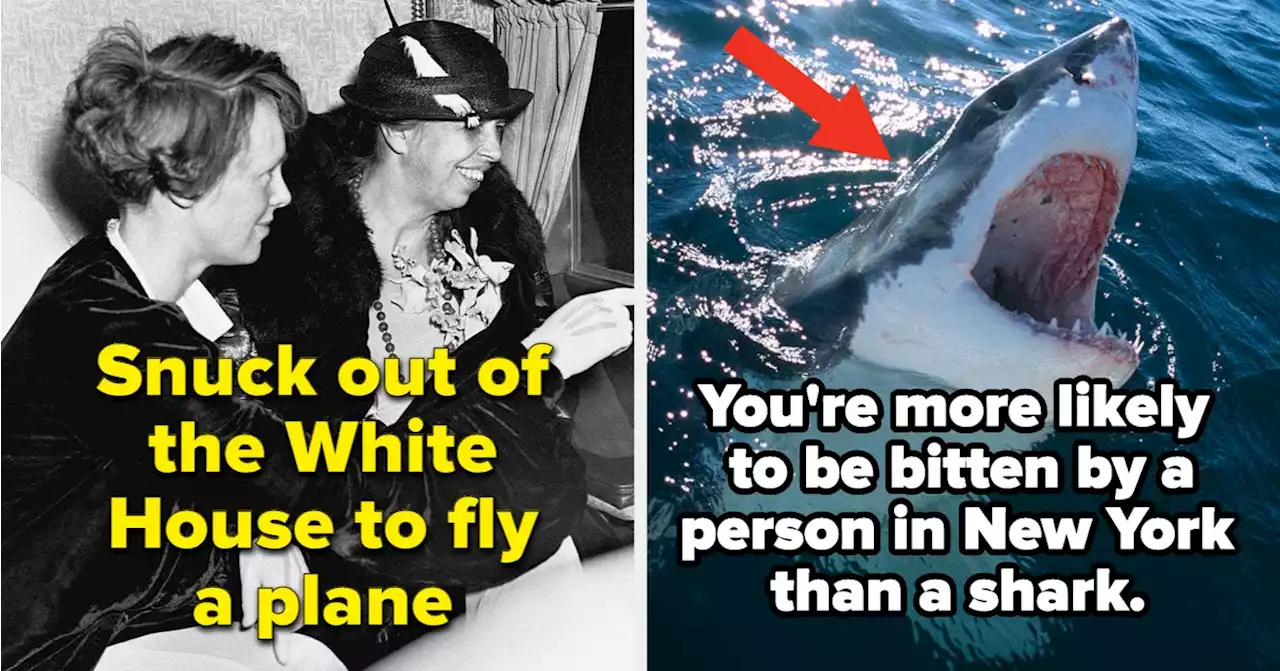 22 Facts I Learned This Week That Left Me Truly Speechless