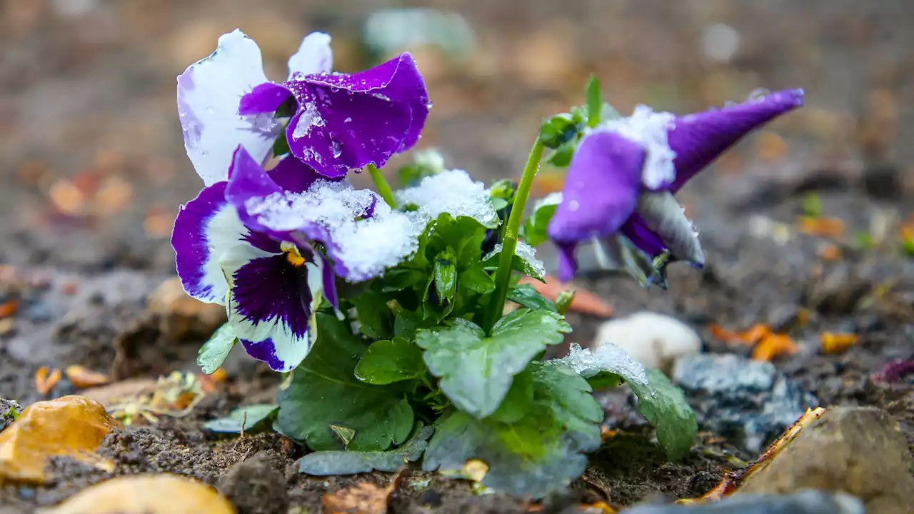 Schnee- und Graupelschauer in Berlin und Brandenburg möglich!