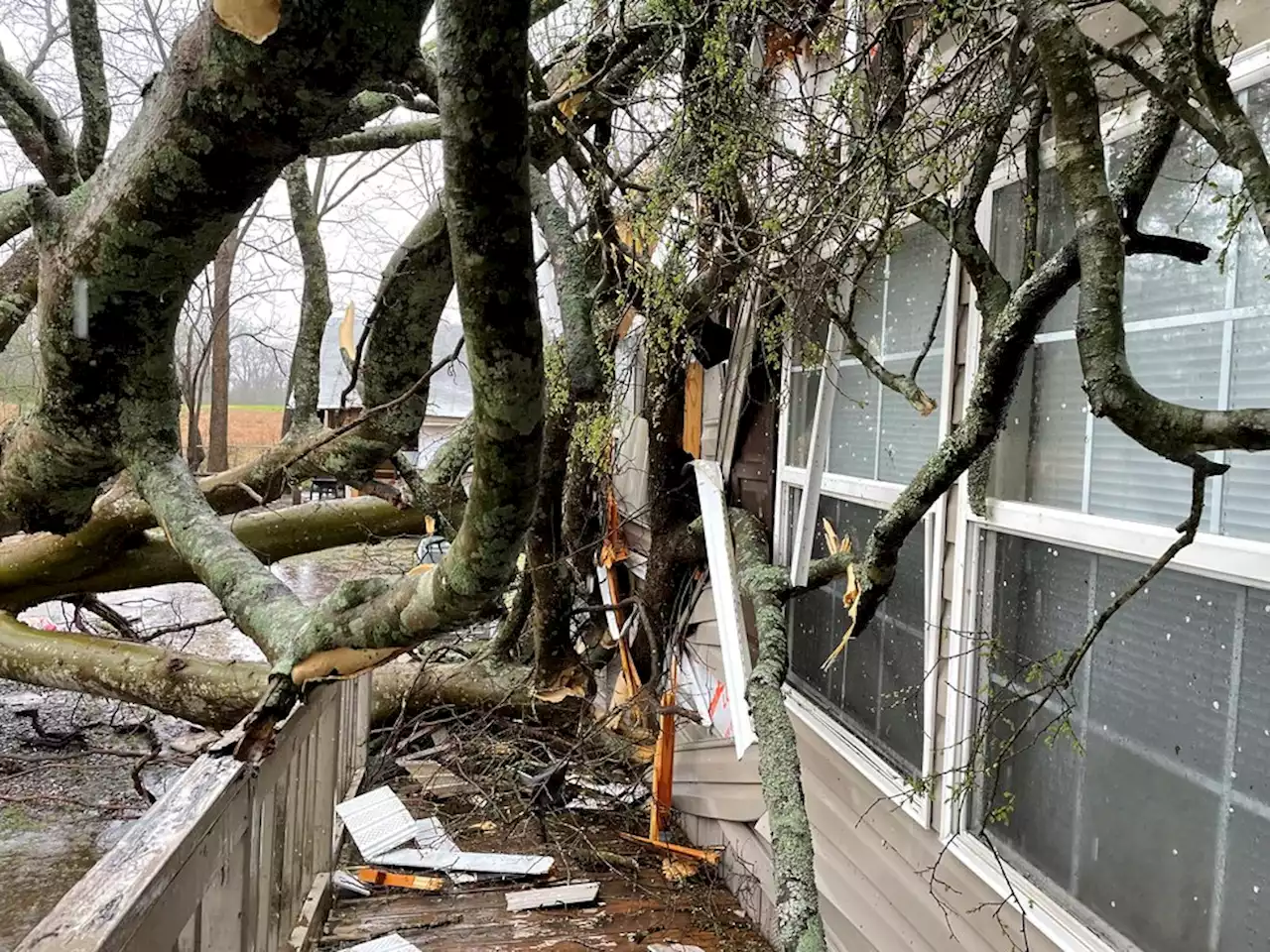 Tree crashes through house in Louisiana, narrowly missing baby asleep in bedroom