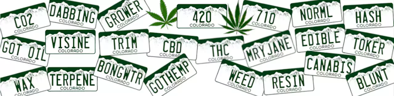 Bid for a cannabis-themed license plate to benefit Colorado’s disability community