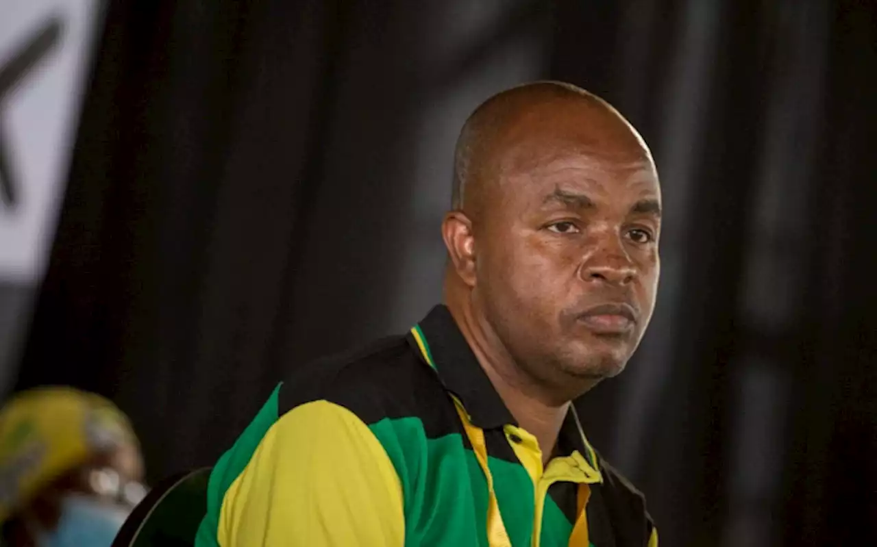 Clean sweep for Mandla Ndlovu and his allies at ANC's Mpumalanga conference