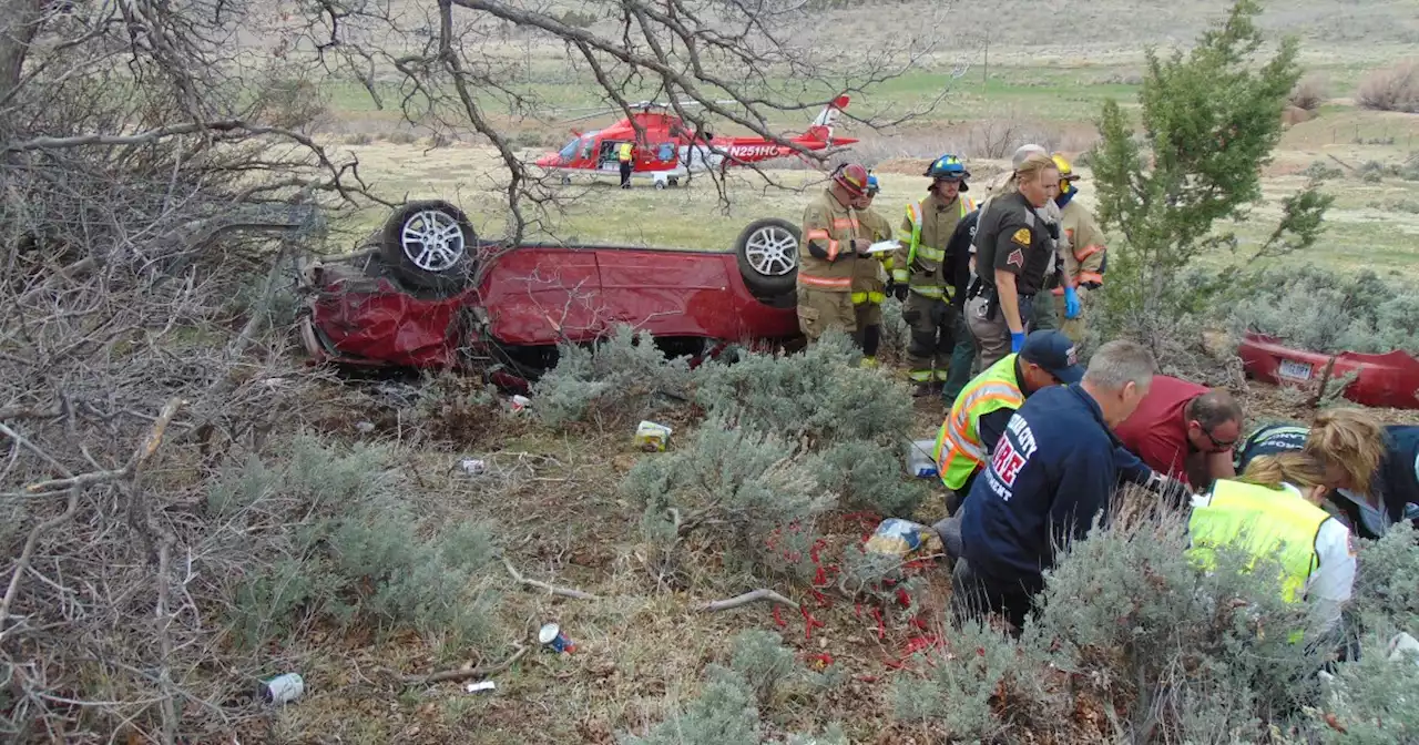 Stolen car owner's dog dies in rollover crash during high-speed chase in southern Utah