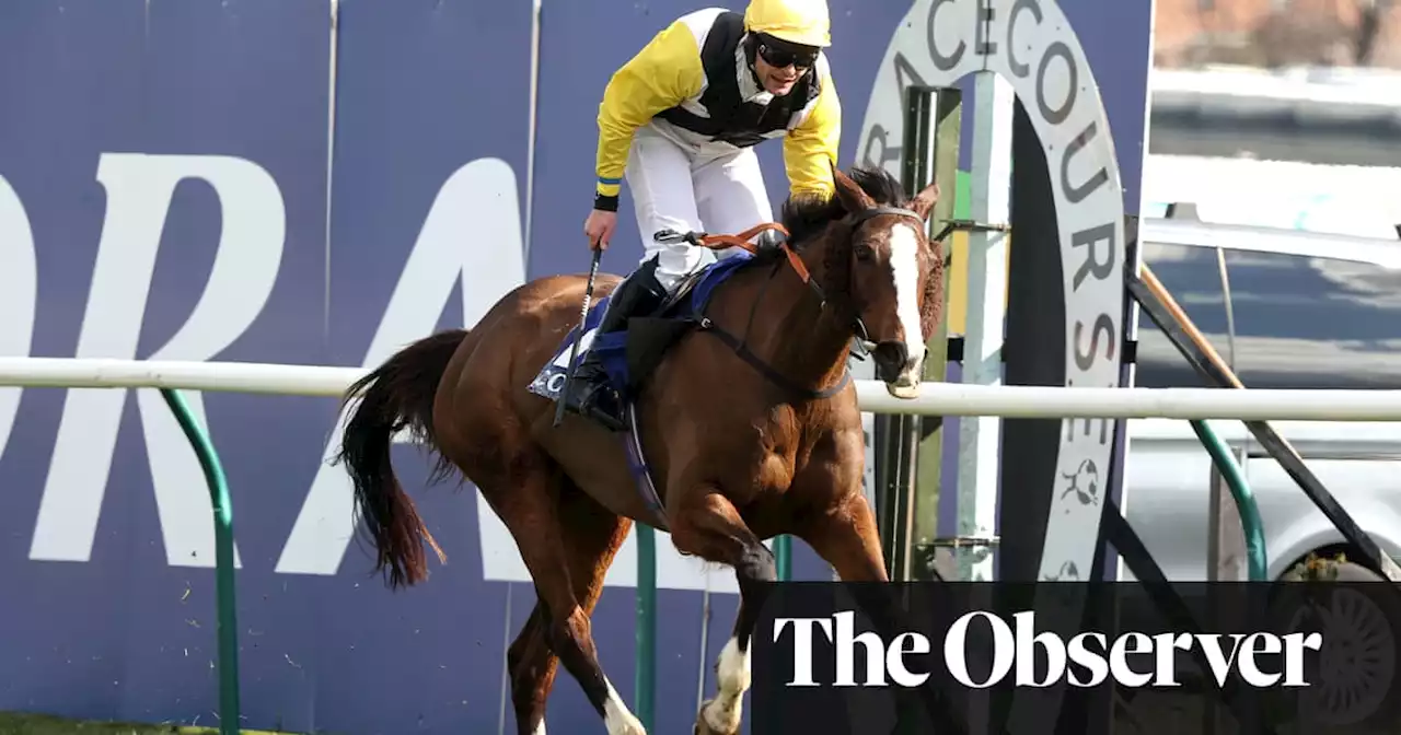 Scottish Grand National: Win My Wings triumphs in one-two for Williams