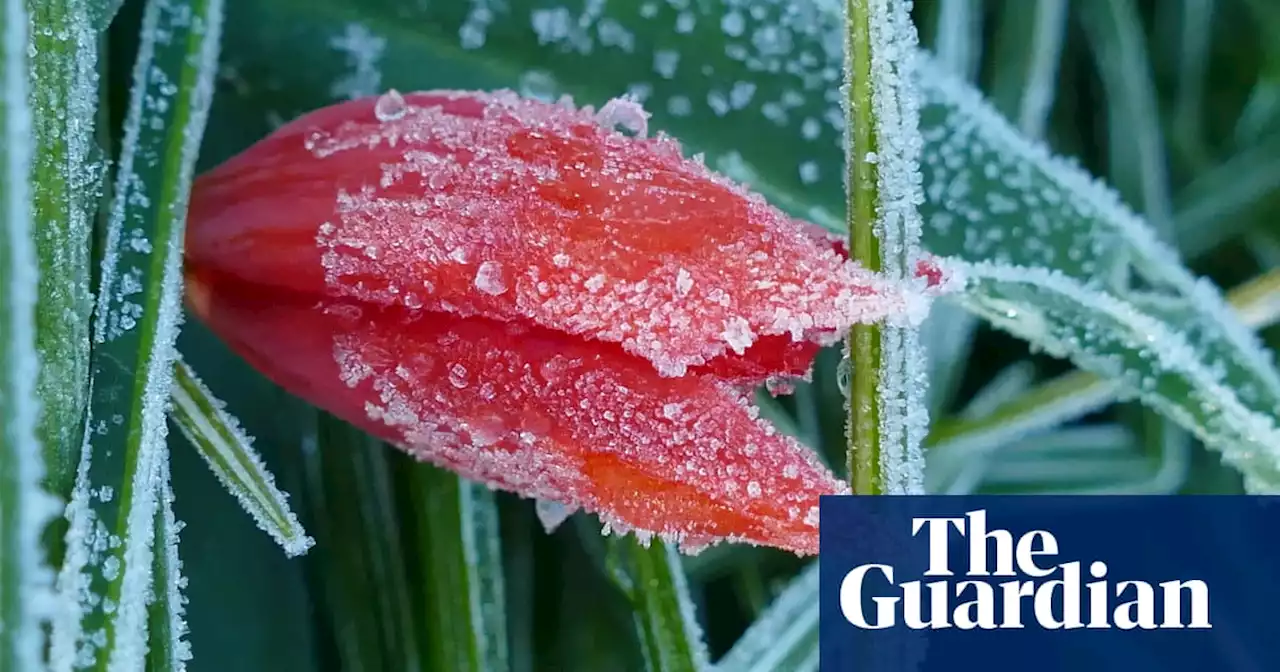 UK temperatures to plummet to as low as minus 6C over weekend