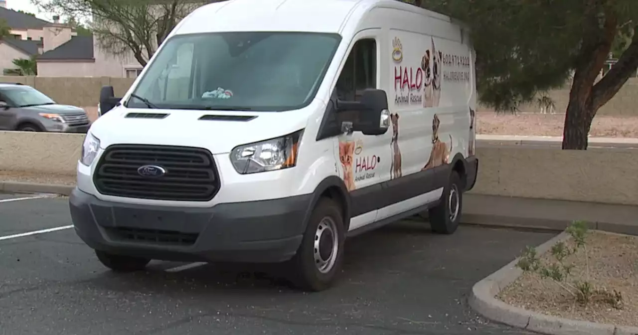 Gas thieves target HALO Animal Rescue van