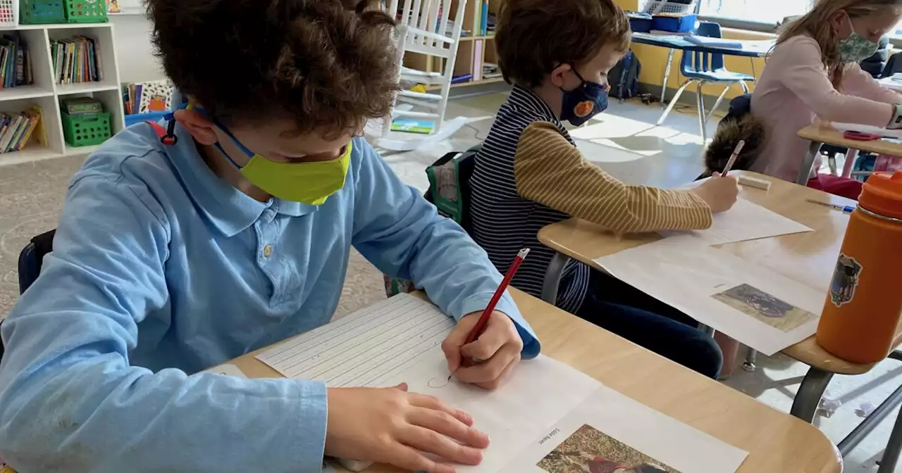 These second-graders helped shelter pups find their fur-ever homes