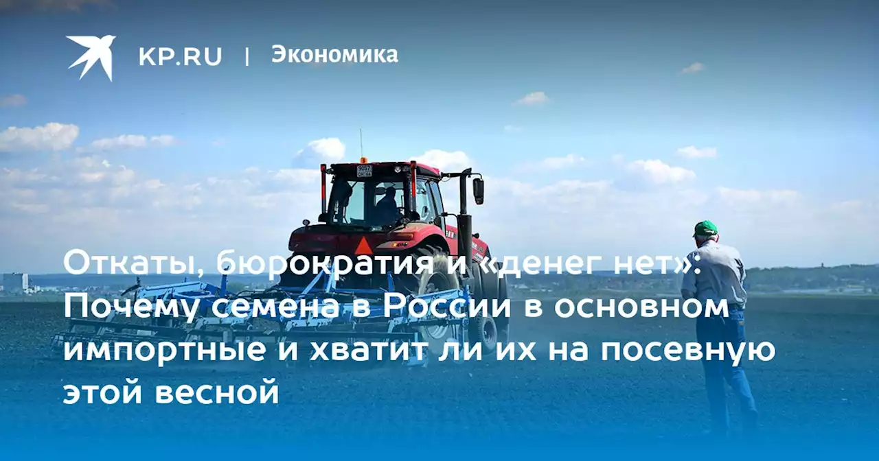 Откаты, бюрократия и «денег нет»: Почему семена в России в основном импортные и хватит ли их на посевную этой весной