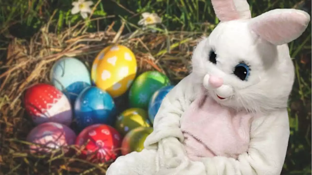 Get free photos with Easter Bunny at Bass Pro Shops and Cabela’s