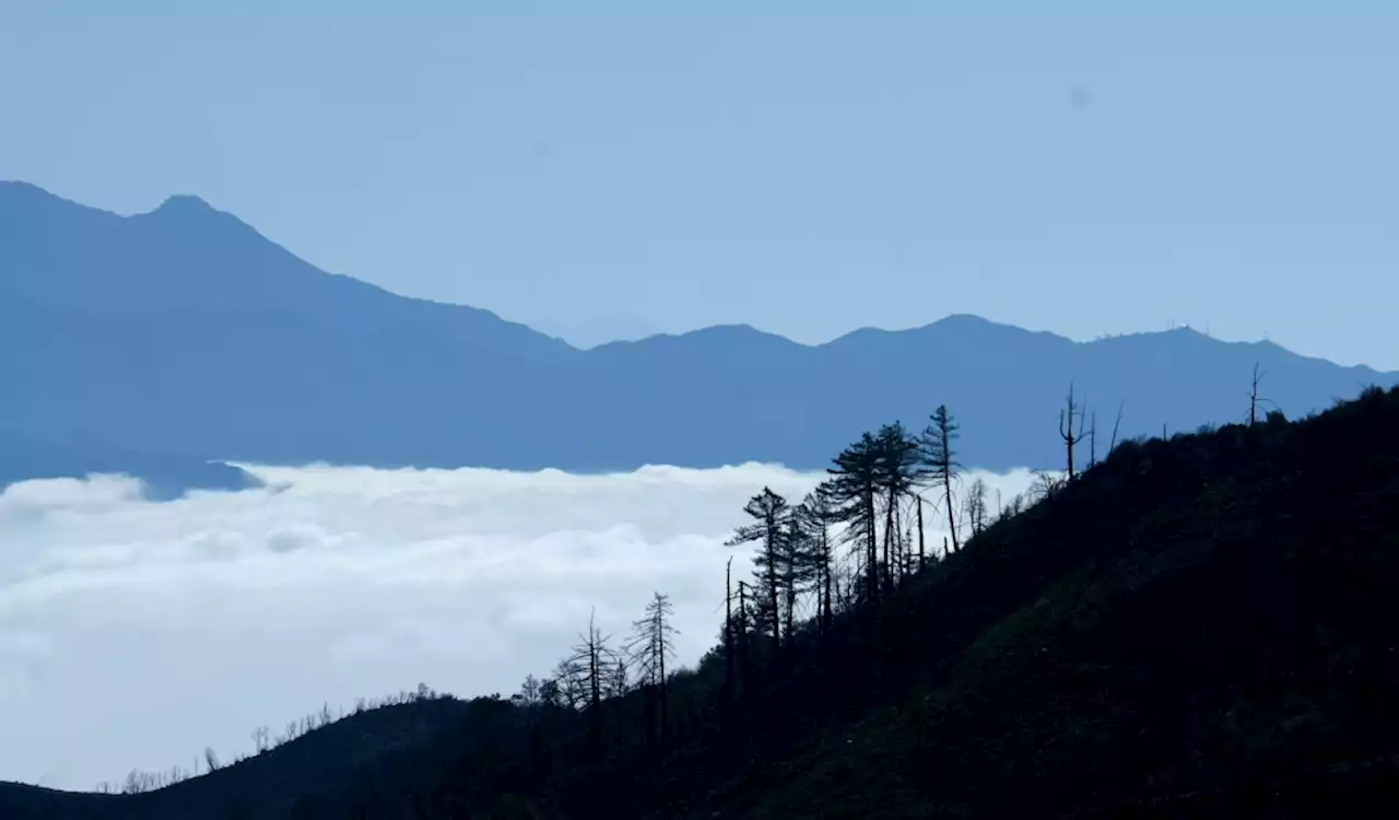 Angeles National Forest lovers just got 86,000 acres back, almost 2 years after Bobcat fire