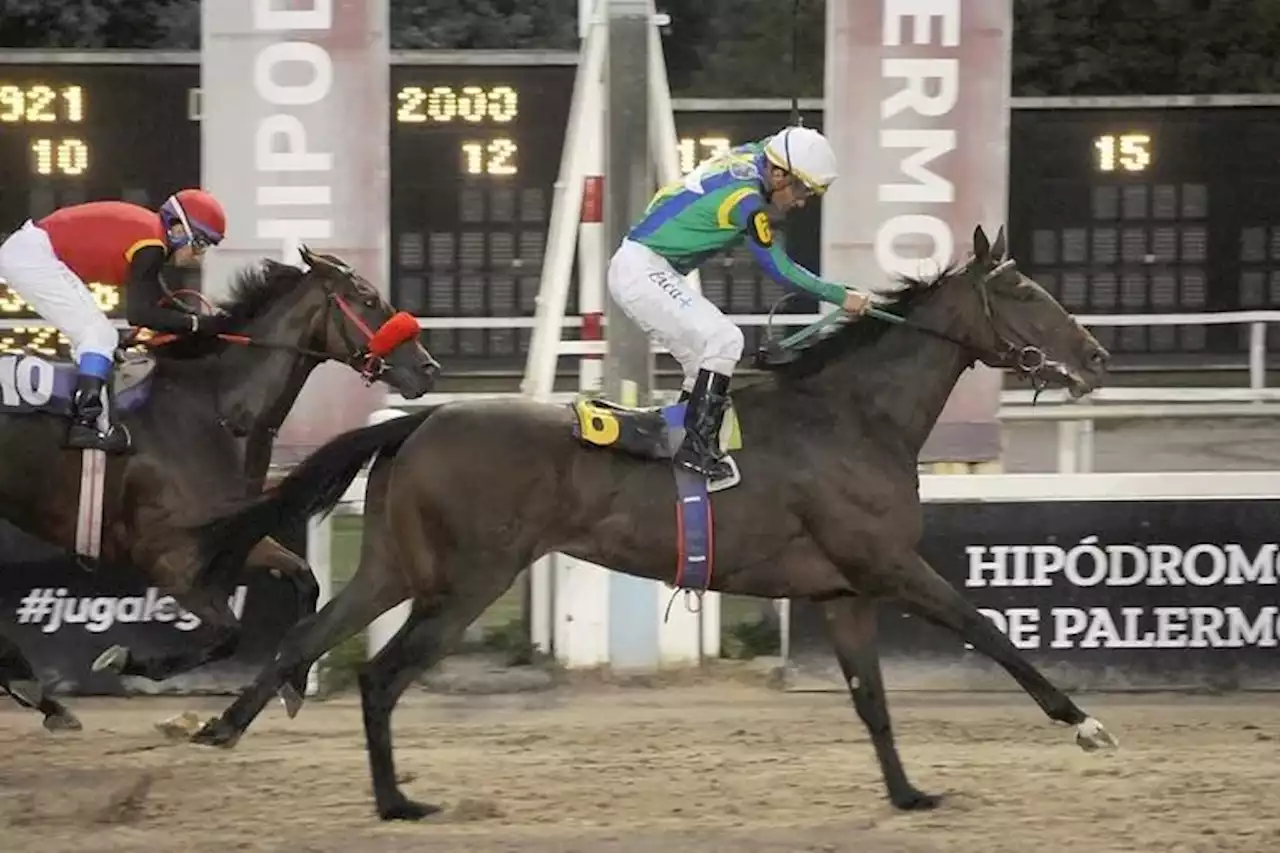 Gran Premio Latinoamericano: un caballo que nunca ganó y una yegua son los representantes argentinos genuinos que intentan el batacazo en Chile