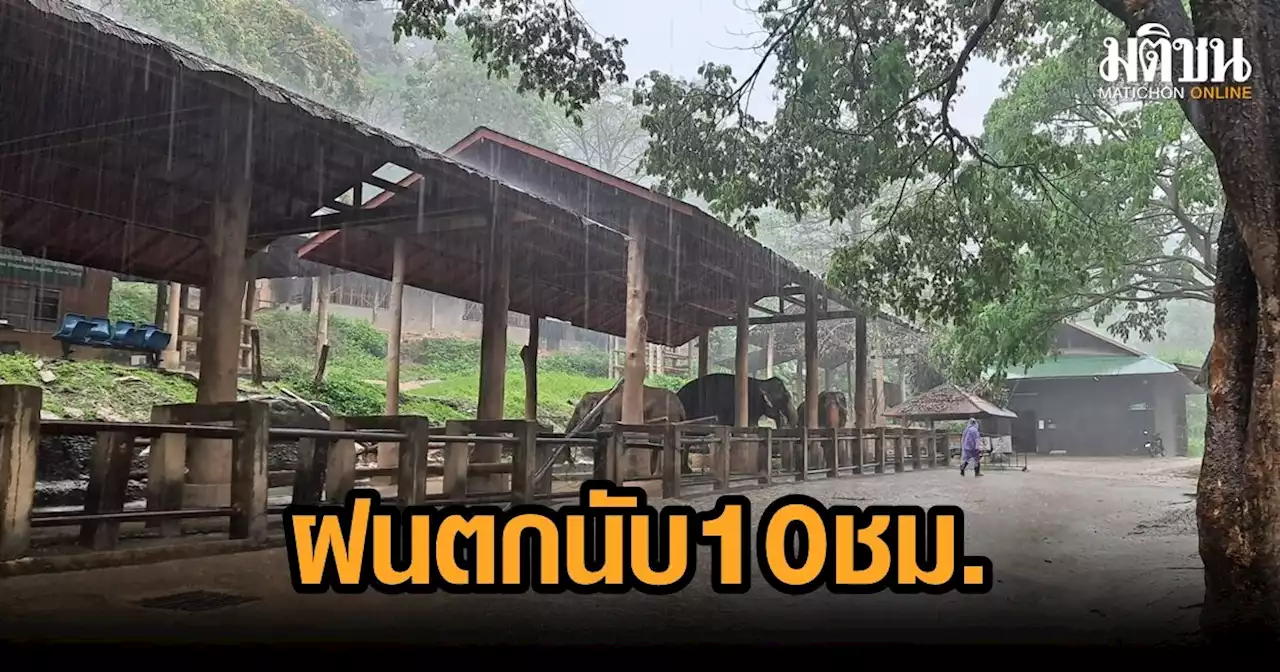 ฟ้ารั่ว เชียงใหม่ฝนตกหนักนับ 10 ชม. ทำอากาศเย็นลง ช่วยลดฝุ่น PM 2.5