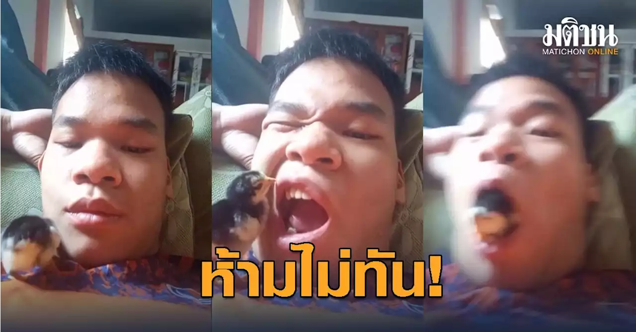 ยอดชมพุ่งทะลุ 55 ล้านวิว กับเมนู 'ไก่' เสิร์ฟถึงปาก