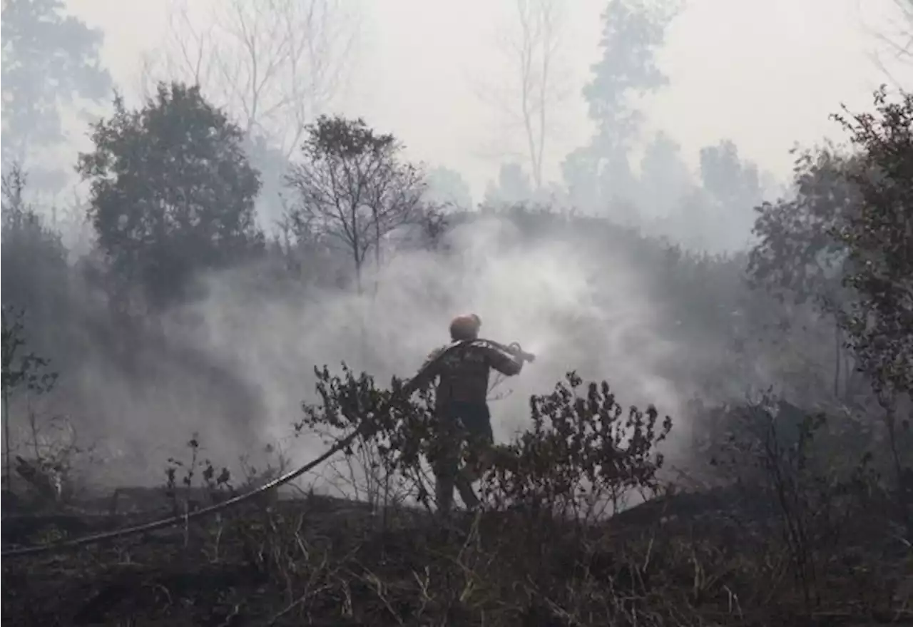 KLHK Pastikan Petugas Gerak Cepat Atasi Titik Panas di Kaltim