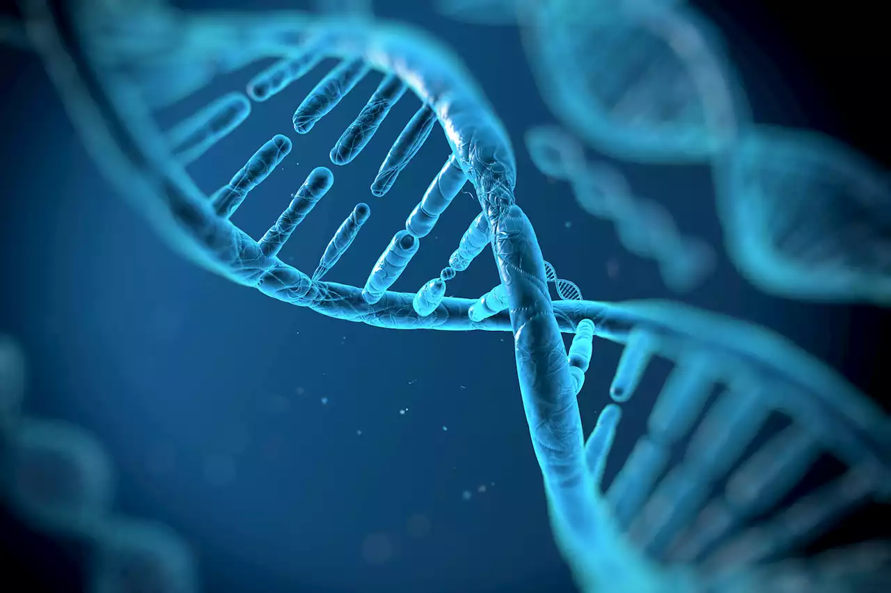 Genome defined as human genetic blueprint fully sequenced for first time