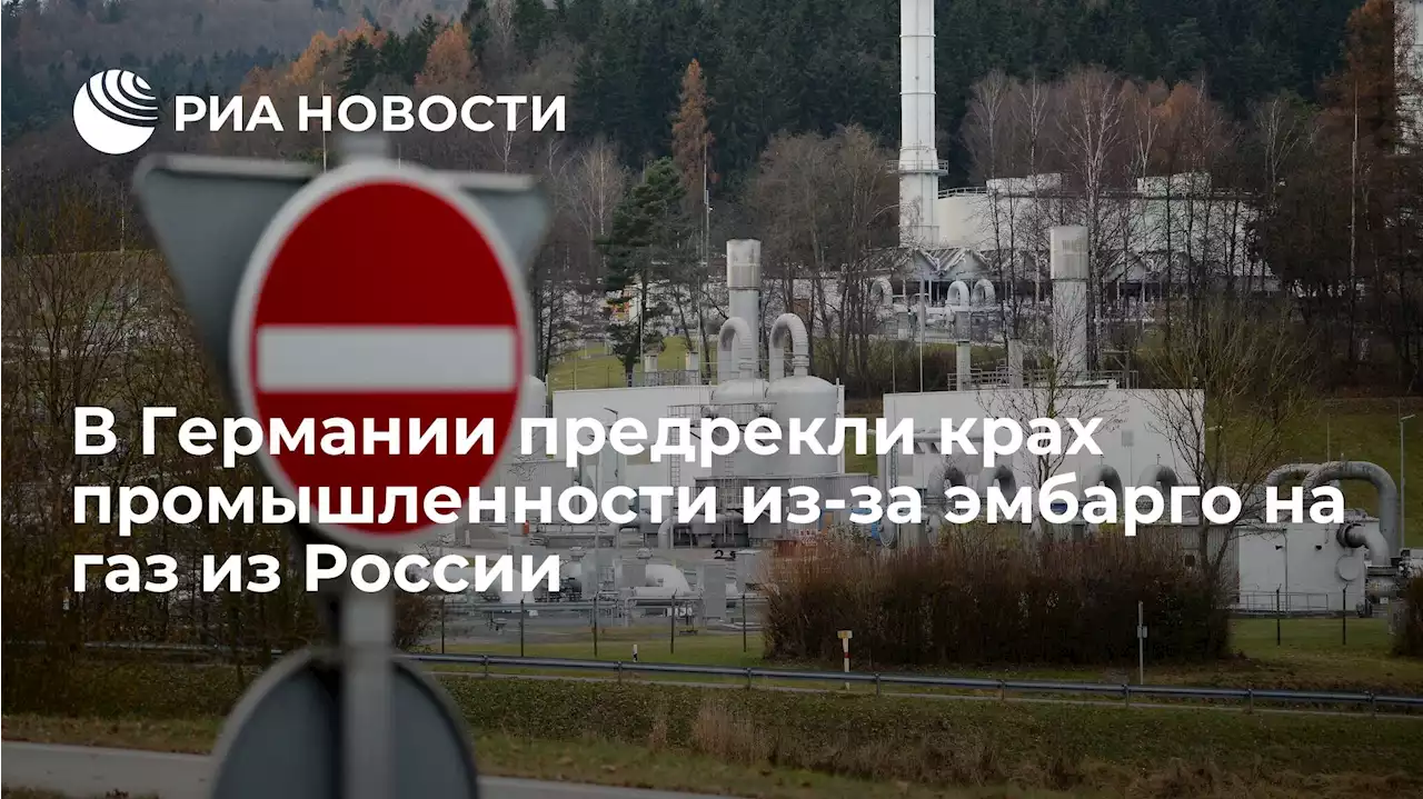 В Германии предрекли крах промышленности из-за эмбарго на газ из России