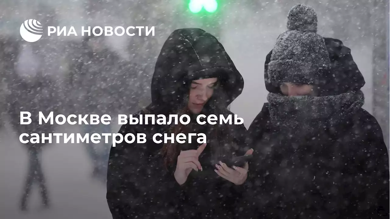 В Москве выпало семь сантиметров снега