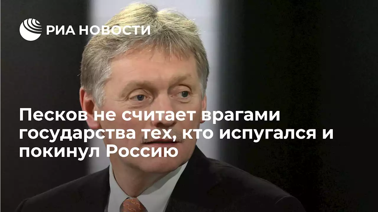 Песков не считает врагами государства тех, кто испугался и покинул Россию