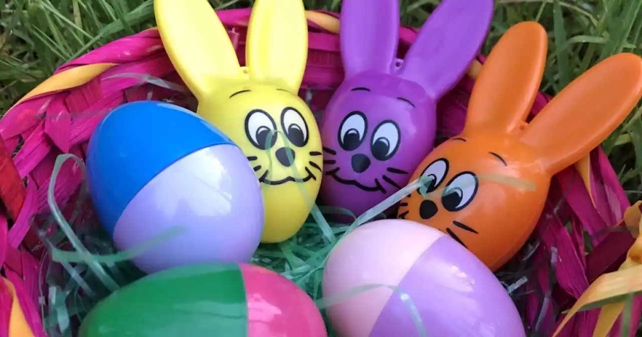 Easter egg hunting is back in person across the county