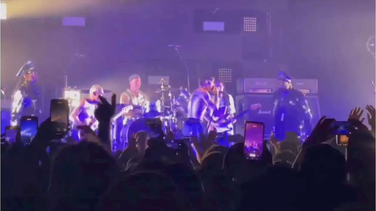 Watch Red Hot Chili Peppers Perform 'Give It Away' With George Clinton