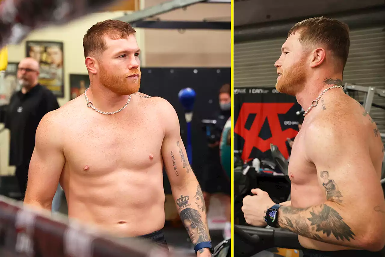 Canelo Alvarez looks huge in new photos as he bulks up for Dmitry Bivol fight