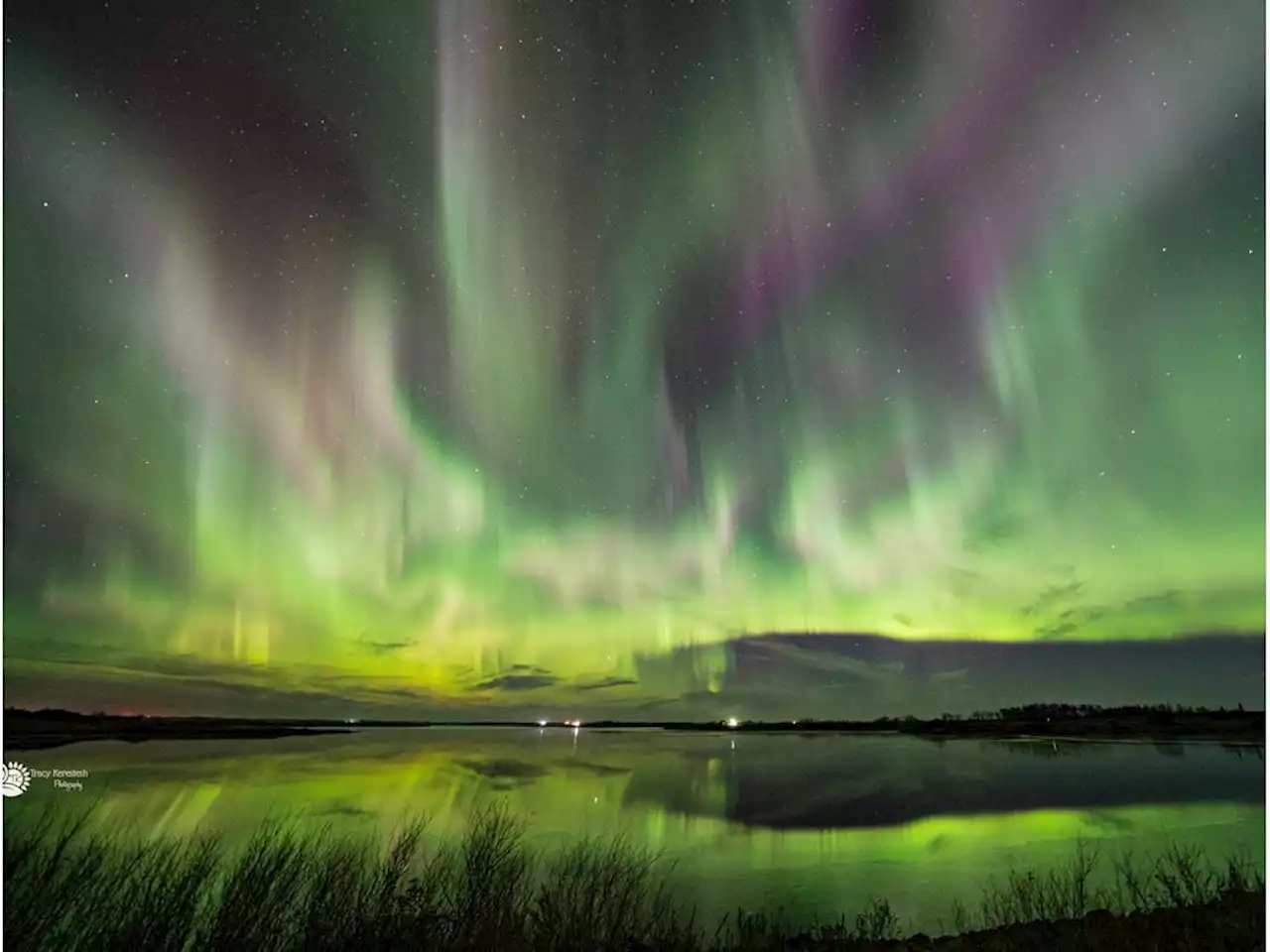 Sask. aurora chasers share passion for dancing sky photography