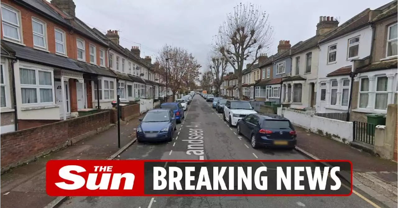 Elderly woman, 80s, stabbed to death and man arrested as murder probe launched