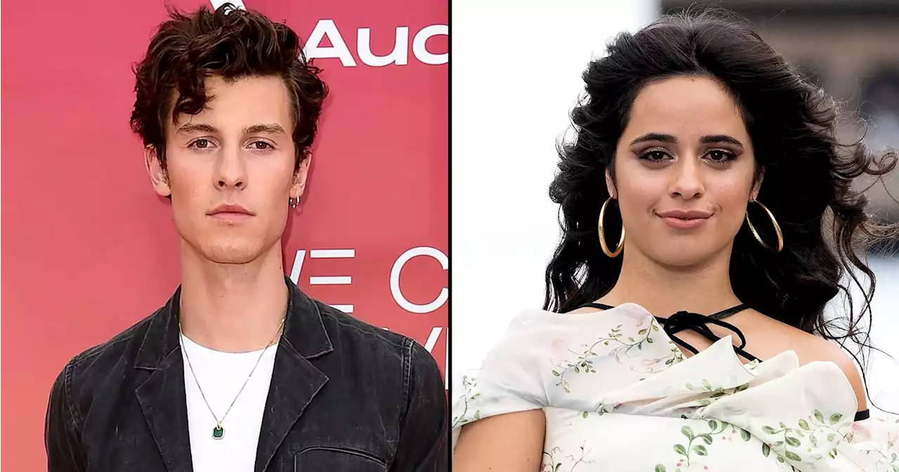 Shawn Mendes: I Played New Breakup Song for Camila Cabello 'Months Ago'