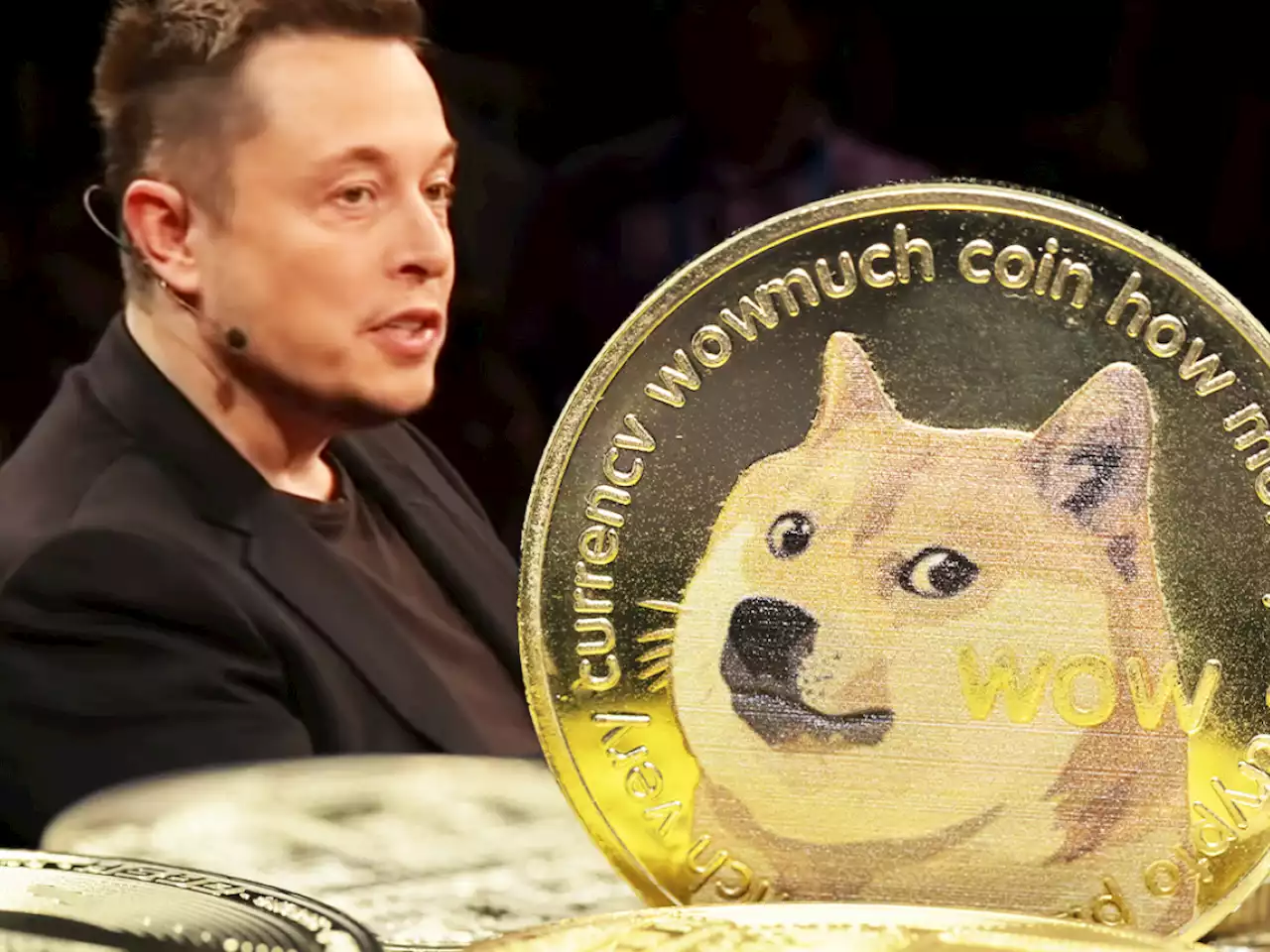 Elon Musk Shares DOGE Video That “Explains Everything”