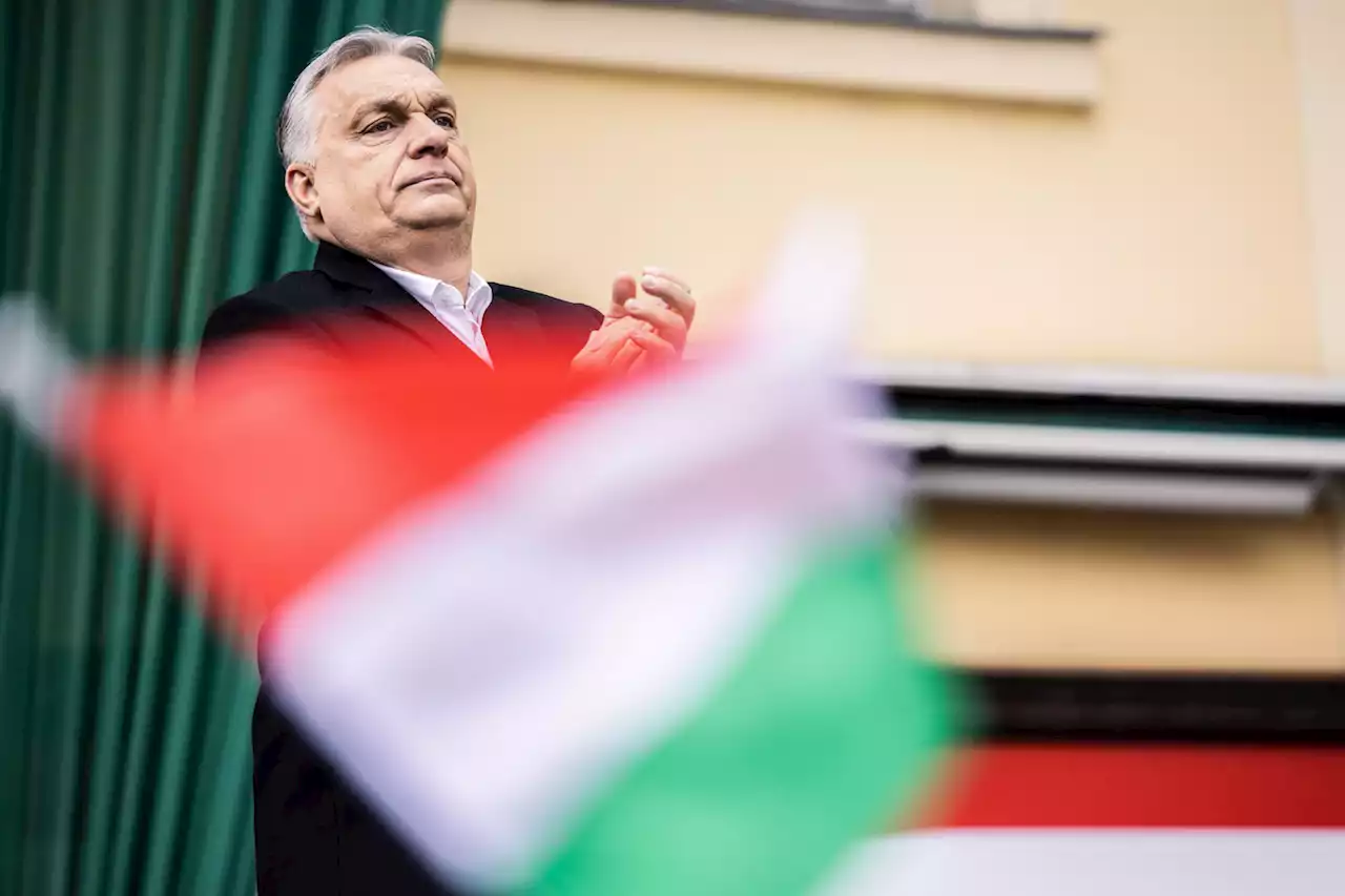 Despite Putin ties, Hungary’s Orban gains popularity before election