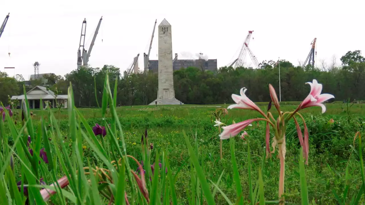 National park battlefield irises may mark razed Black homes