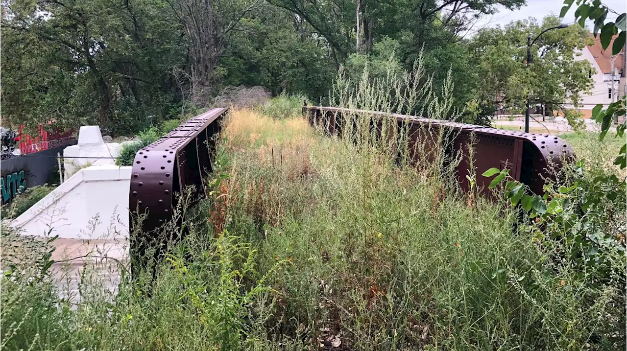 Englewood Nature Trail Among ‘Green Infrastructure’ Projects Chicago Has Slated for a Funding Infusion