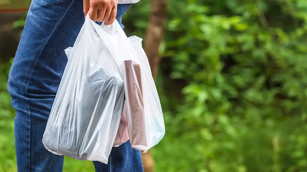 New Jersey preparing for bag ban: What you should know before it takes effect