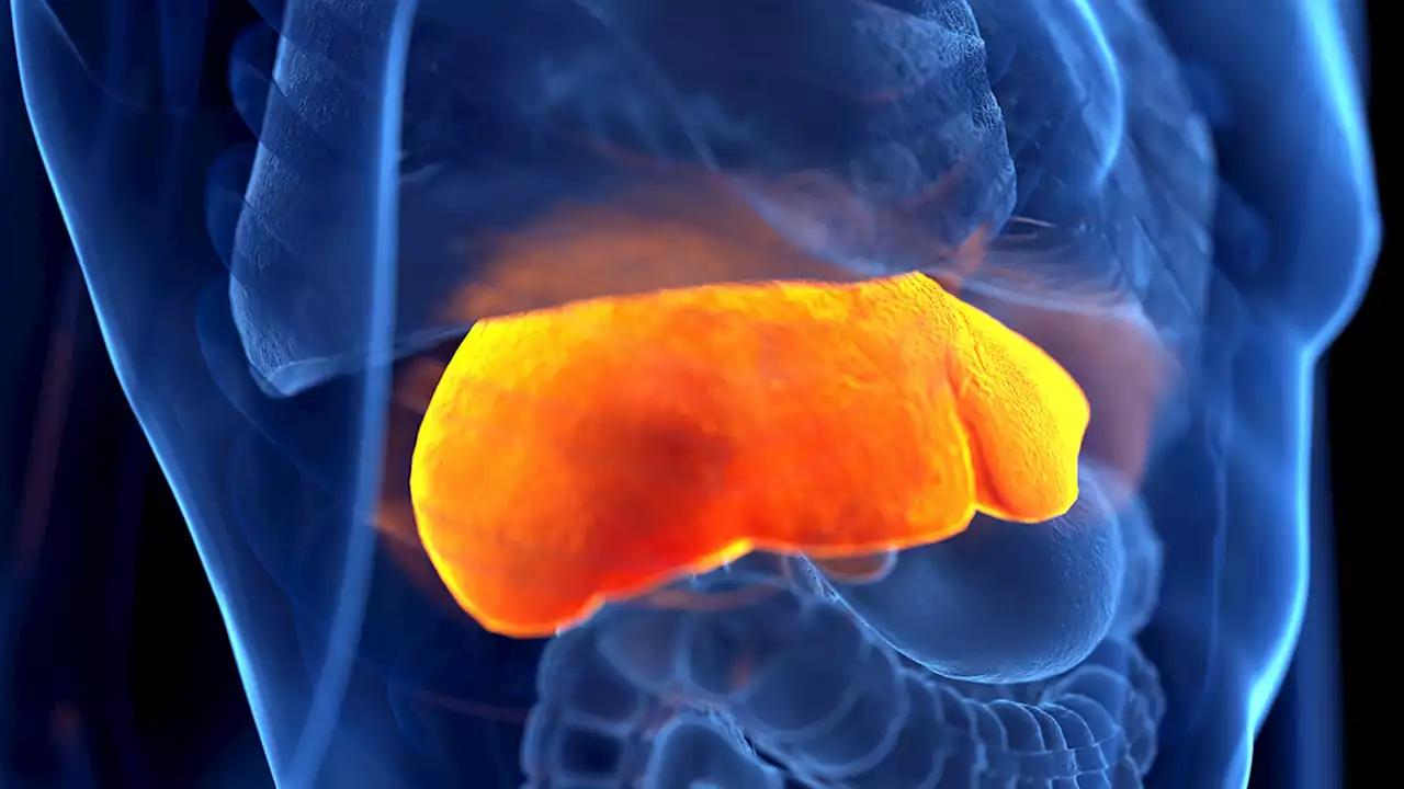 Mysterious liver disease in children spreads to US, Europe