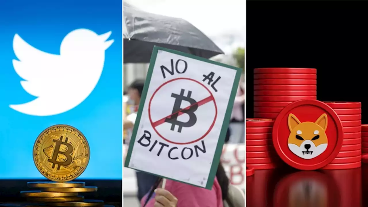 Crypto News, April 20: Twitter on Blockchain, Bukele's Bitcoin Bonds in Doubt, Shiba Inu Scandal | CoinMarketCap