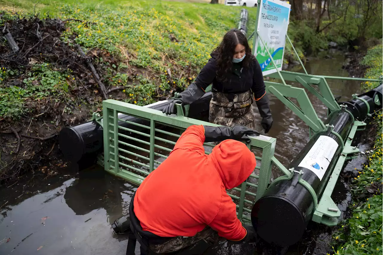 Anacostia Watershed To Benefit From New Trash Trap