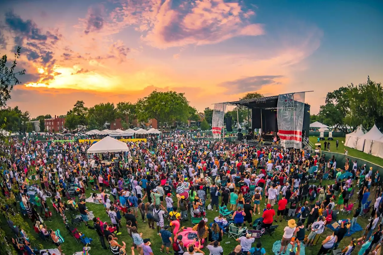 What To Expect At National Cannabis Festival's Culinary Pavilion