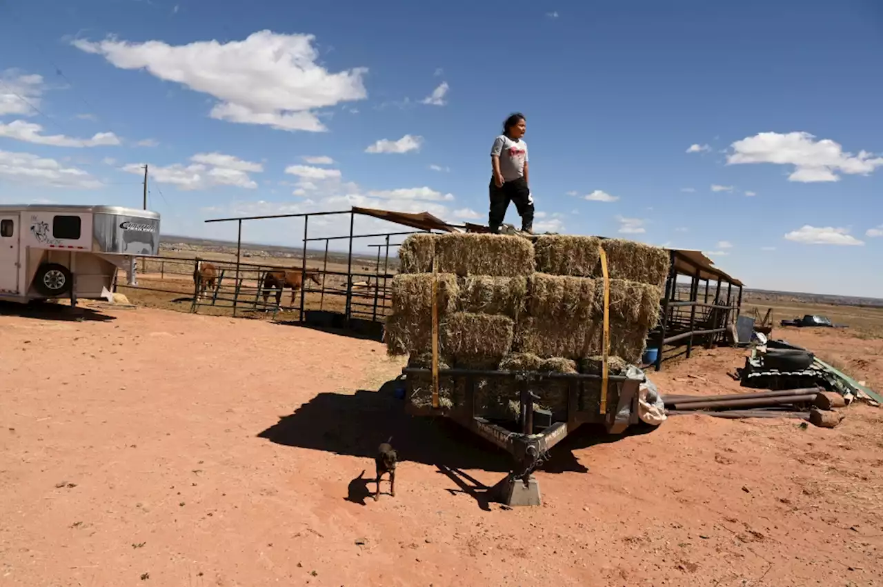 America’s last uranium mill thrives despite contamination claims by Colorado and Utah tribe