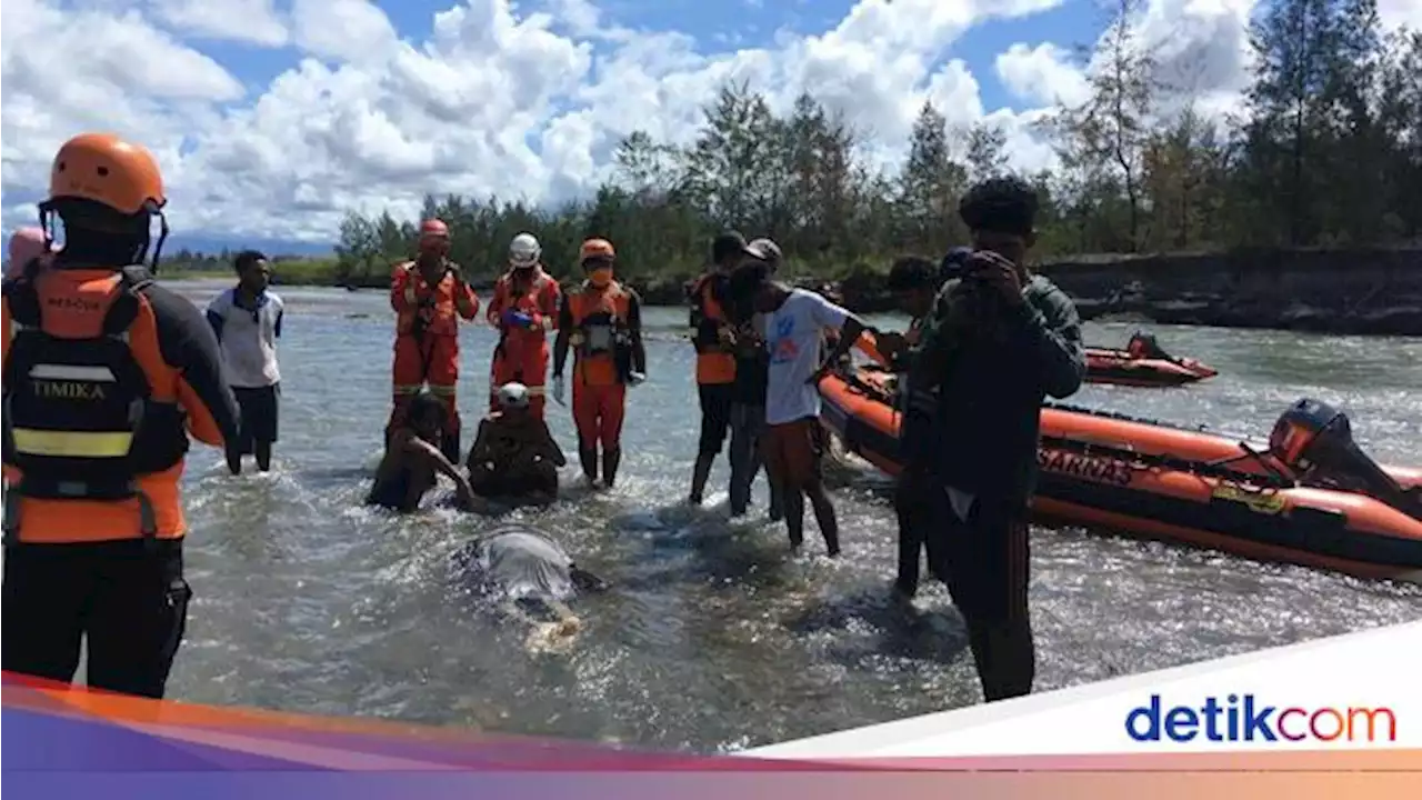 Tim SAR Temukan Lagi 1 Pendulang Emas Tewas Terseret Arus Sungai di Timika